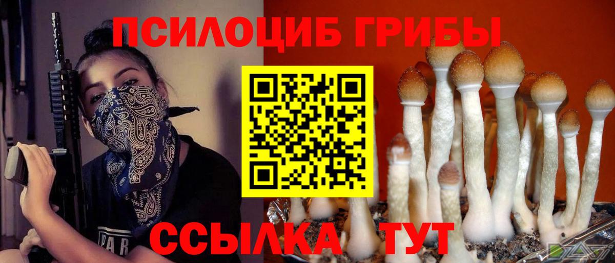 Похвистнево  Псилоцибиновые грибы мицелий  Вход с VPN  Псилоцибиновые грибы Psilocybine cubensis 