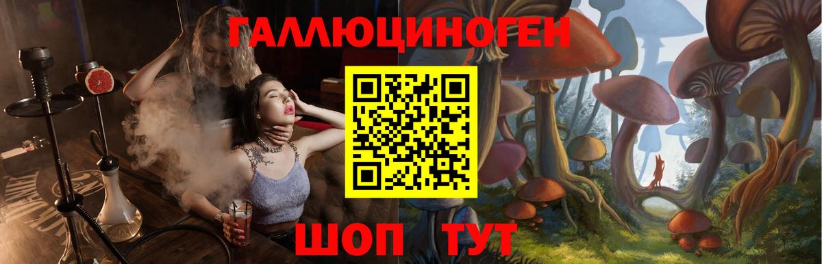 Галлюциногенные грибы Cubensis Похвистнево