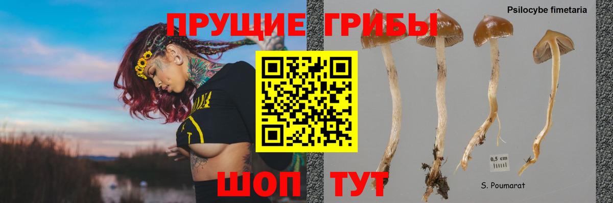 COCAIN Похвистнево